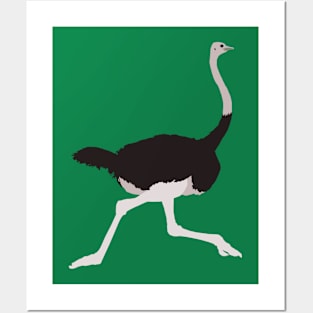 Southern Ostrich Posters and Art